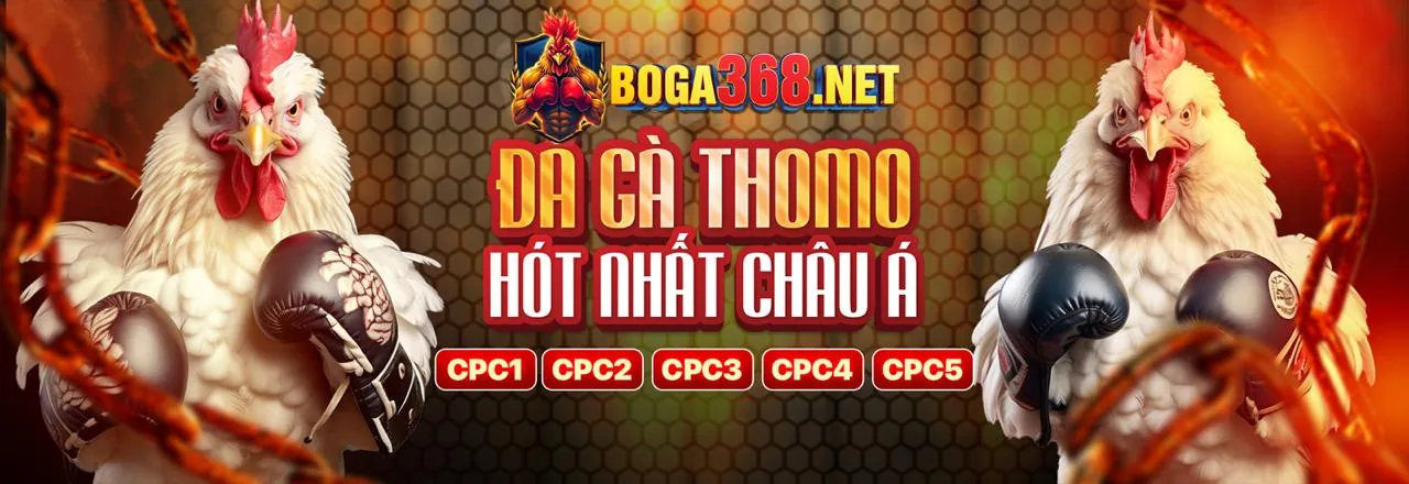 Hình ảnh chính loto188o link mới 2026